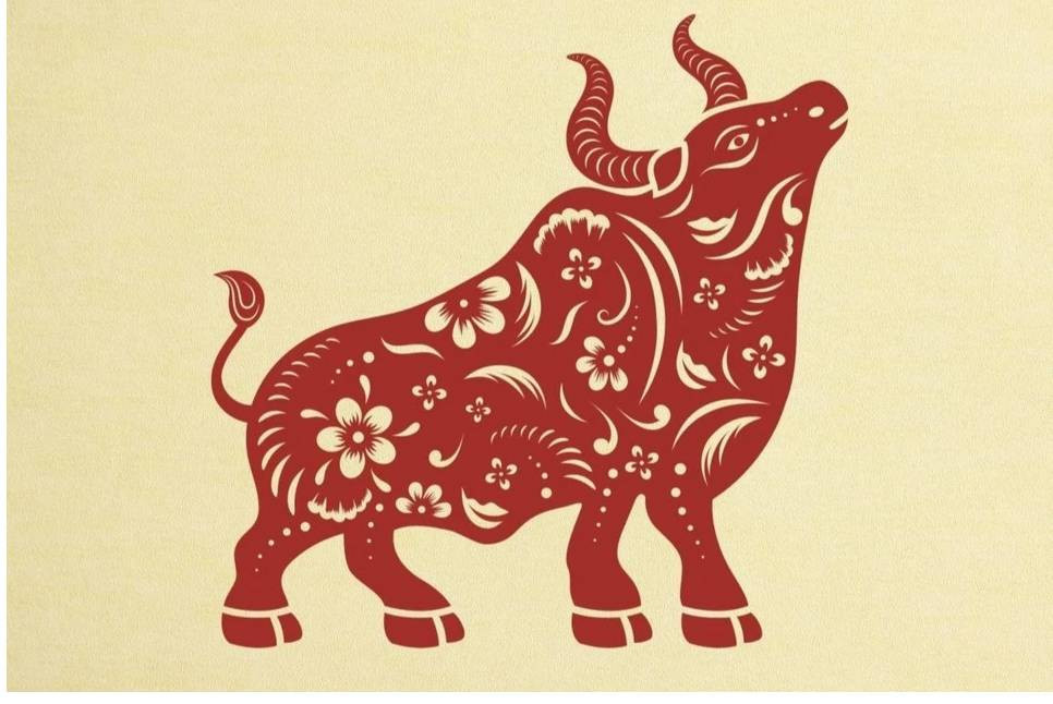 congiap minhhoa1.jpg