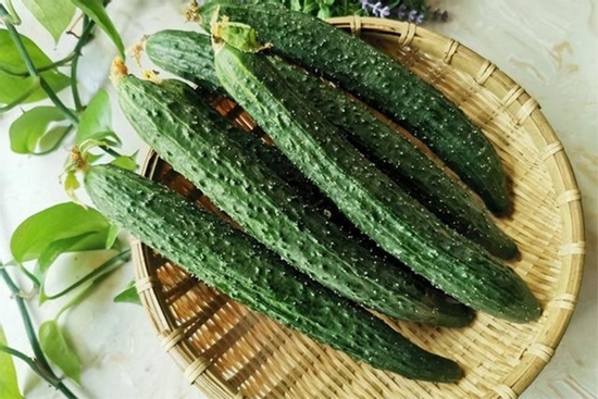 Dưa chuột bị đắng nên ăn hay bỏ?