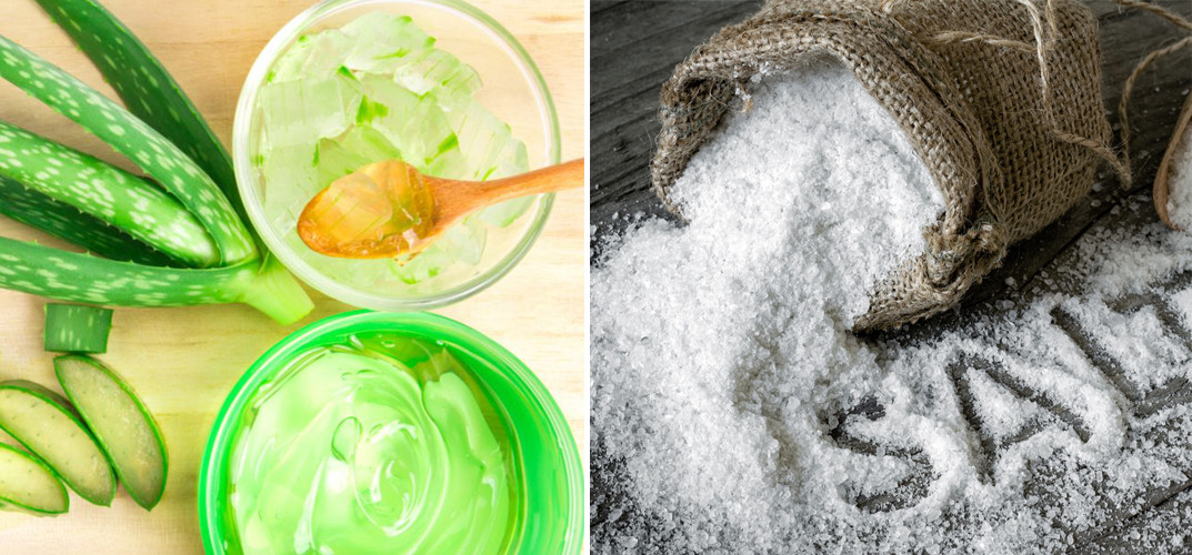 Mách bạn cách ủ tóc nha đam mềm, óng khỏe, không tốn tiền - Ảnh 4.