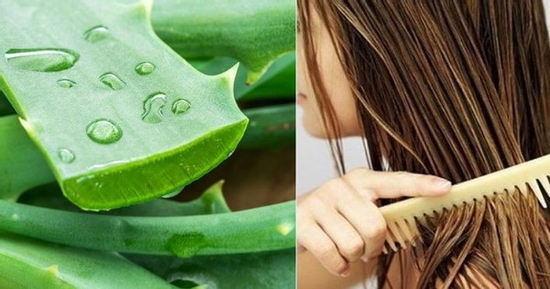 Mách bạn cách ủ tóc nha đam mềm, óng khỏe, không tốn tiền