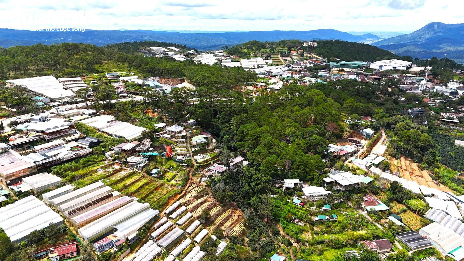 Những quán cà phê chênh vênh mùa mưa, sạt lở rình rập ở Đà Lạt - 7