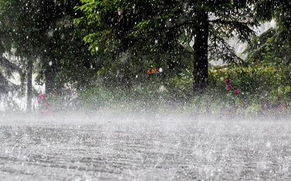 Dự báo những khu vực mưa lớn hôm nay và 10 ngày tới- Ảnh 1.