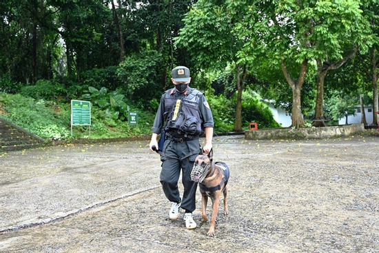 Huy động gần 100 người và 7 chó nghiệp vụ tìm kiếm nam du khách mất tích ở Ninh Bình