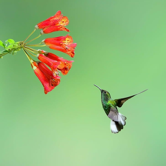 Tháng sinh Âm lịch tiết lộ vận mệnh: Người sinh vào những tháng này cả đời thuận lợi, hanh thông