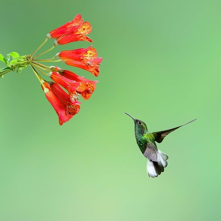 Tháng sinh Âm lịch tiết lộ vận mệnh: Người sinh vào những tháng này cả đời thuận lợi, hanh thông - Ảnh 3.