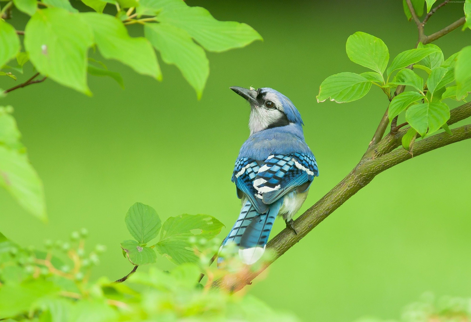 Tháng sinh Âm lịch tiết lộ vận mệnh: Người sinh vào những tháng này cả đời thuận lợi, hanh thông - Ảnh 2.
