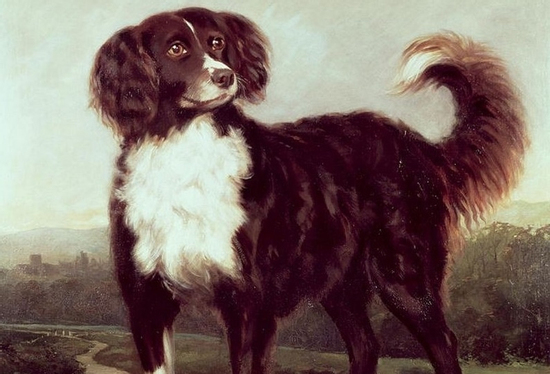 Sau 16h30 chiều nay (19/8/2025), 3 con giáp vận đỏ như son, tiền đổ ào ào về túi đếm không xuể