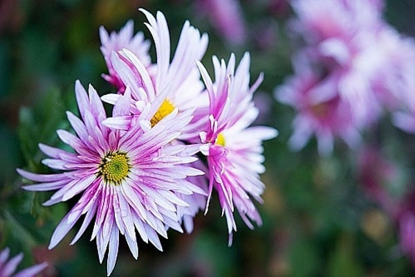 4 khung giờ Âm lịch sinh ra những đứa trẻ hiếu thảo, mang phúc khí trọn đời cho cha mẹ - Ảnh 4.