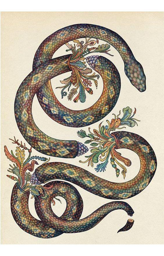 Tử vi 12 con giáp thứ Tư ngày 2082025