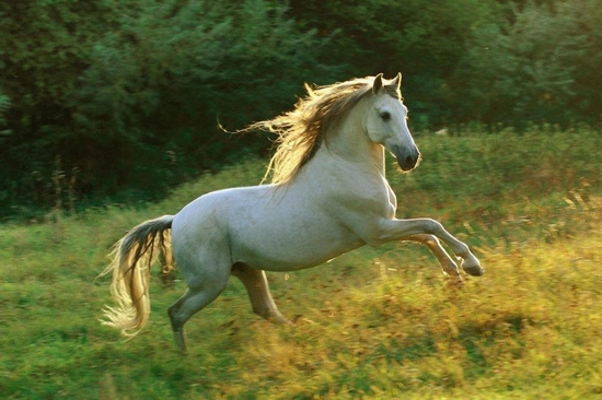 Trúng số đúng ngày 20/9/2025, 3 con giáp vận trình hanh thông như 'cá chép hóa rồng', tài lộc bay bổng