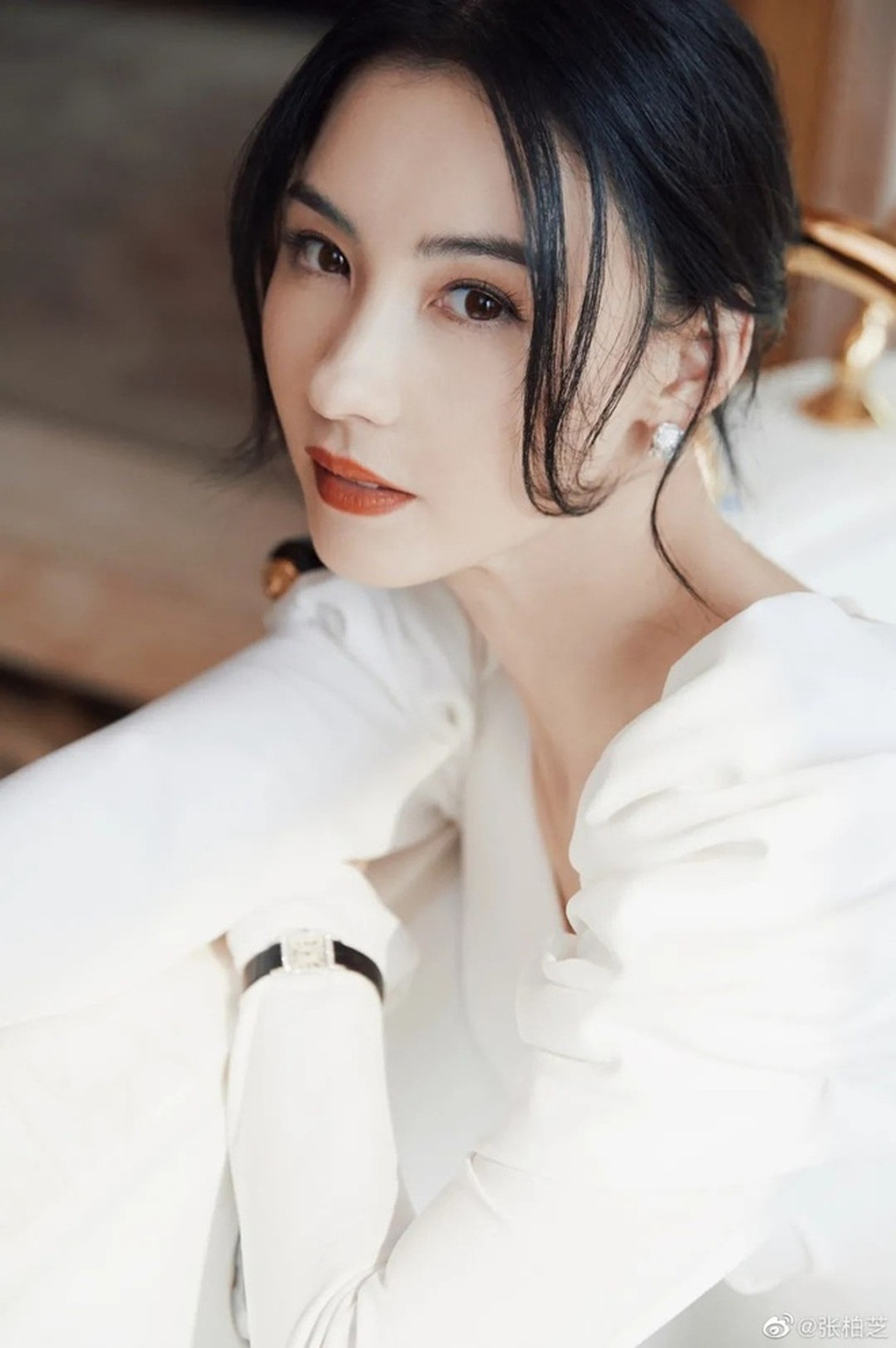 Mỹ nhân Hoa ngữ sau ly hôn Trương Bá Chi bí mật sinh con ồn ào hẹn hò xã hội đen kế thừa 3000 tỷ từ cha Tạ Đình Phong