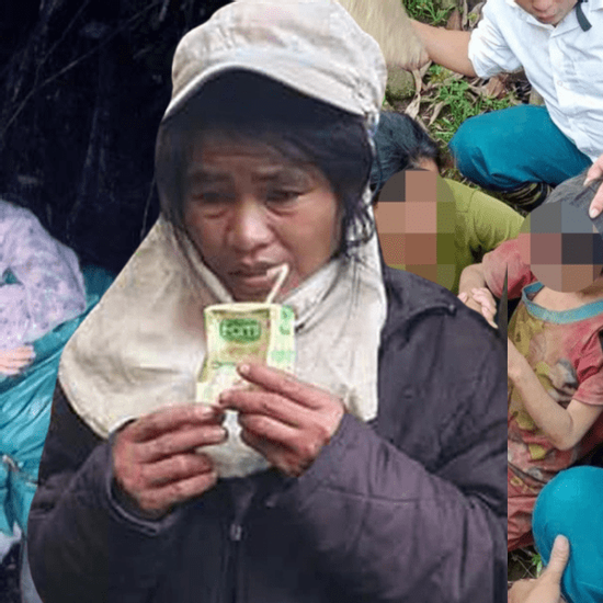 Từ vụ nam du khách tử vong ở Cúc Phương: Nhìn lại hàng loạt câu chuyện sinh tồn nghẹt thở trong rừng già tại Việt Nam