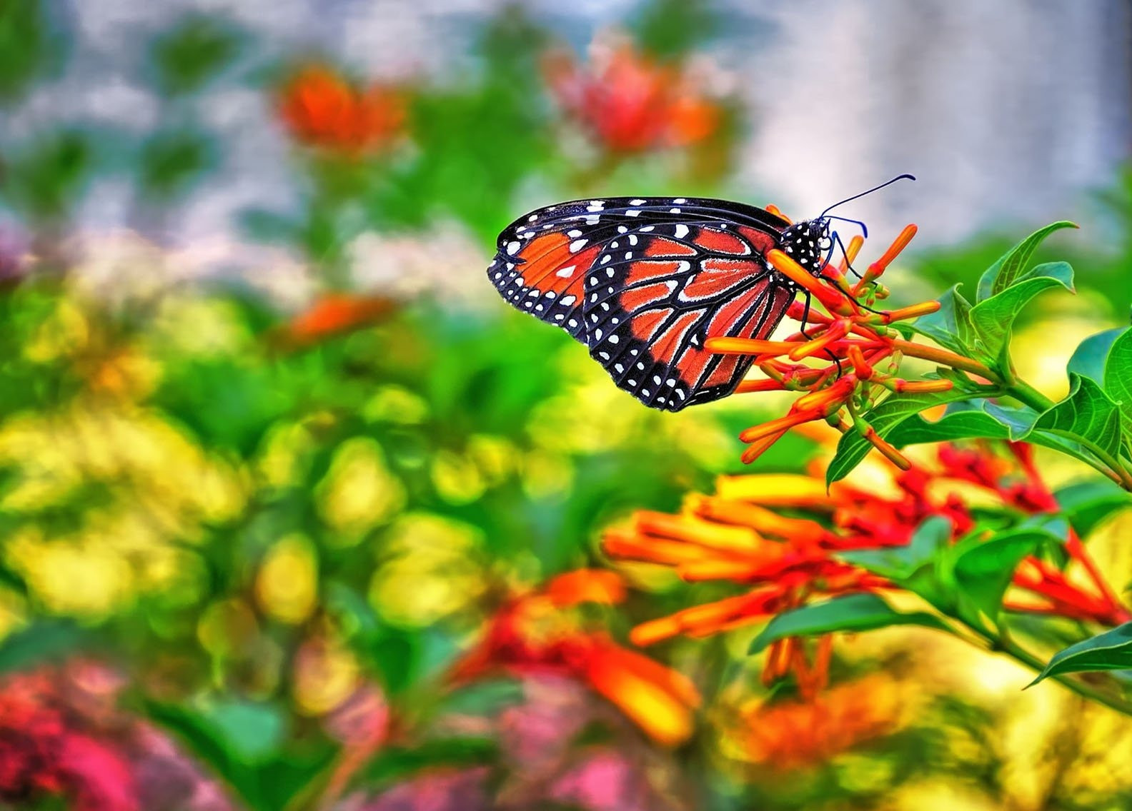 Tháng sinh Âm lịch của người đặc biệt xuất sắc trên nhiều phương diện - Ảnh 3.