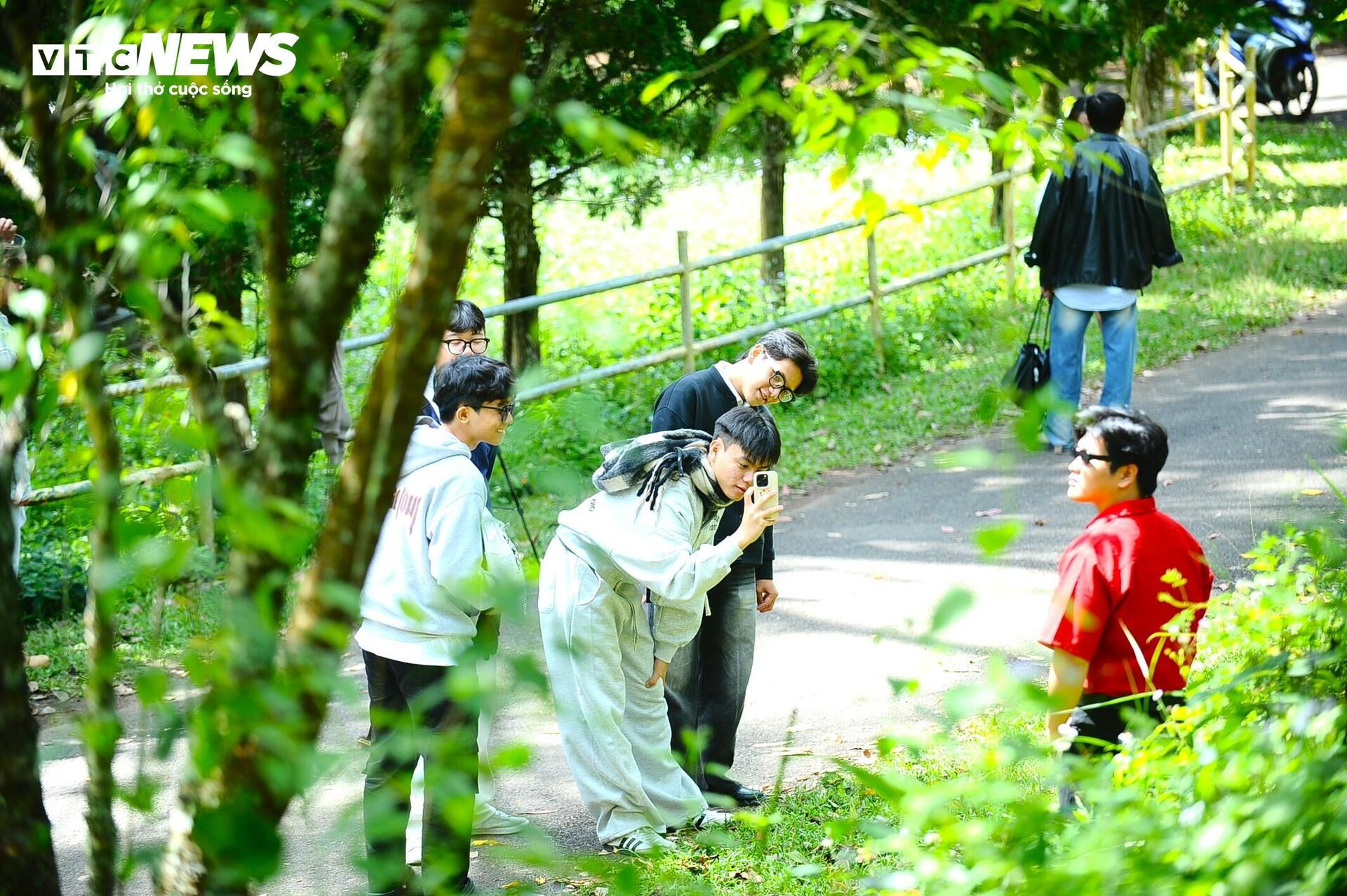 Ngắm thủy điện cổ nhất Việt Nam, nơi giới trẻ đua nhau check-in ở Đà Lạt - 8