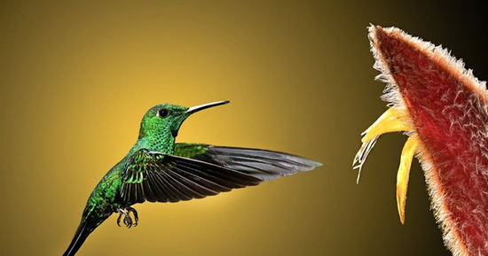 Ngày sinh Âm lịch của người có vận may nổi bật, tiền tài vượng phát