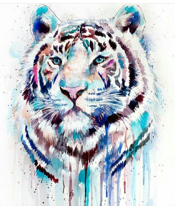 Tử vi 12 con giáp Chủ Nhật ngày 2482025