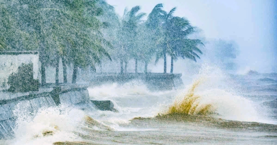 Bão số 5 mạnh đến cấp 14 quần thảo cả ngày mai, tâm điểm Nghệ An - Bắc Quảng Trị