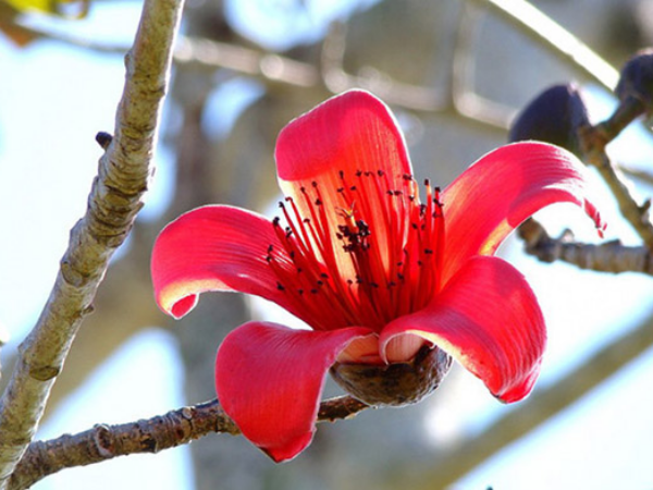 Trúng quả trời cho, 3 con giáp gặp hỷ sự liên miên trong 2 ngày đầu tuần (thứ 2, thứ 3), hầu bao đầy ắp, làm đâu thắng đó, công danh sáng rực - Ảnh 1