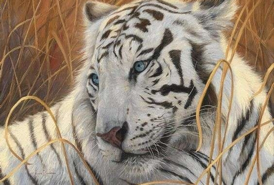 3 con giáp trúng số độc đắc 300 tỷ vào đúng ngày 25/8/2025, hoan hỉ làm gì cũng ra tiền, sự nghiệp tăng tiến