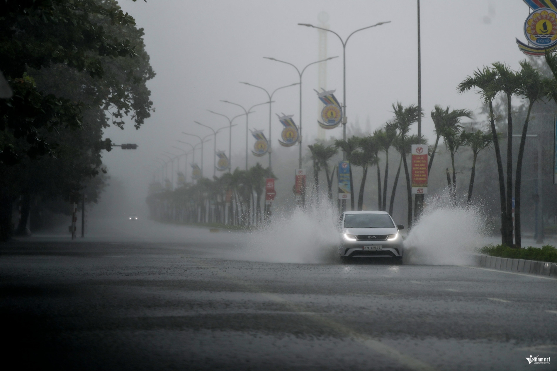 bao so 5 trong tung.jpg