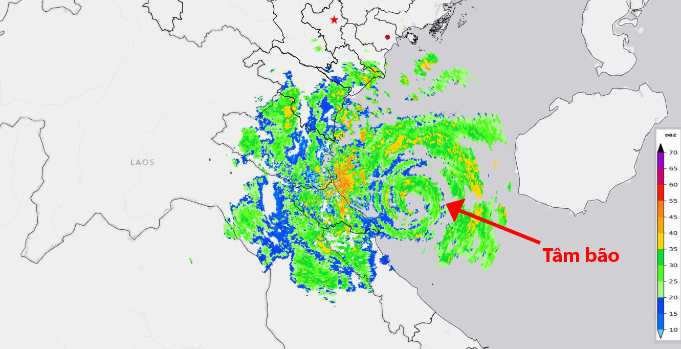 tam bao.jpg