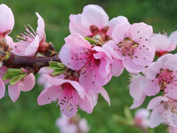 Trong vòng 2 tháng tới, 3 con giáp có căn làm giàu, tiền vô ào ào, vận may thấm vào người, điềm lành gõ cửa - Ảnh 3