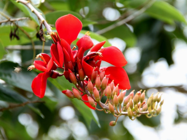 Trong vòng 2 tháng tới, 3 con giáp có căn làm giàu, tiền vô ào ào, vận may thấm vào người, điềm lành gõ cửa - Ảnh 1