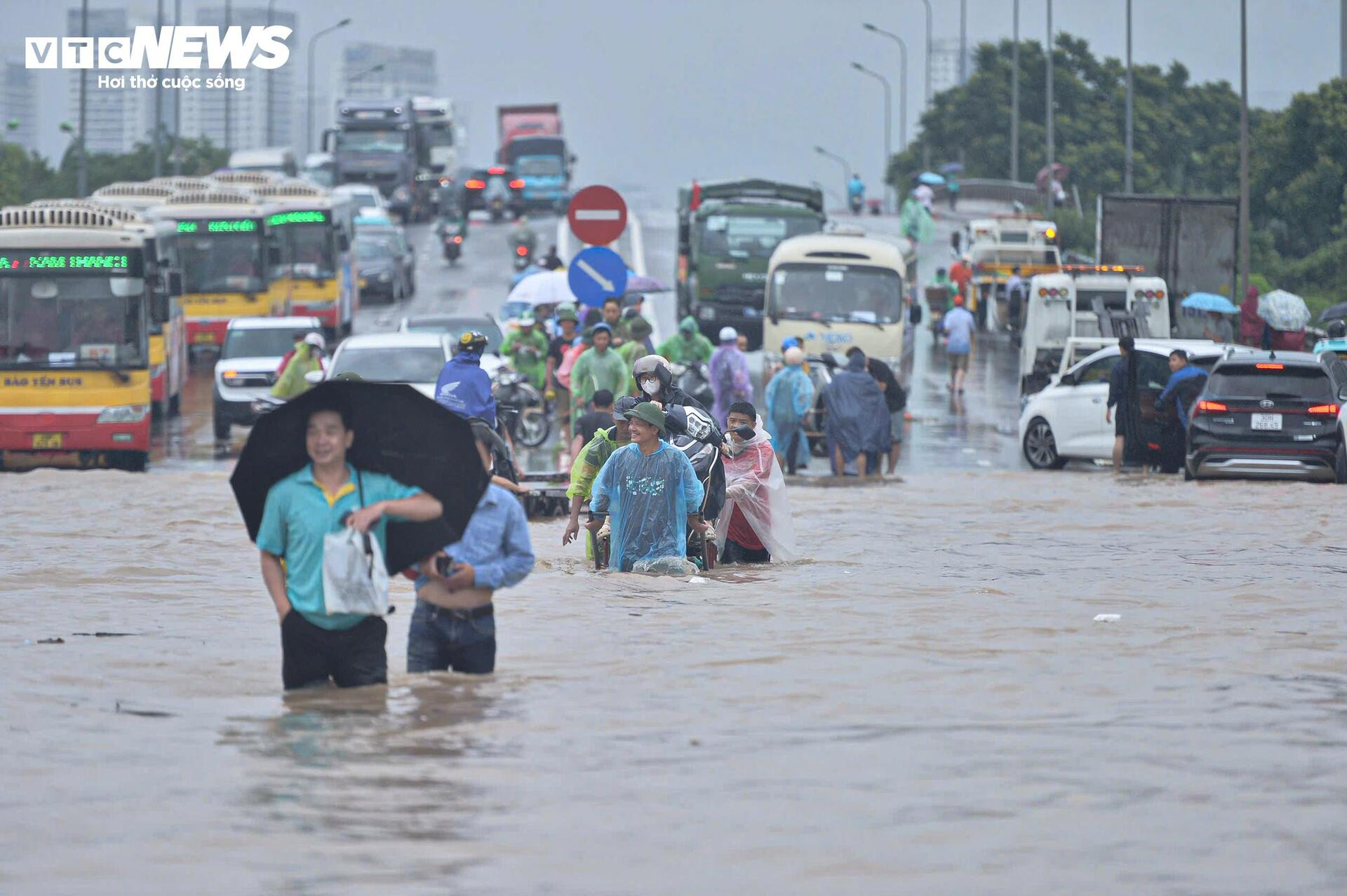 Ngập tới bụng trên quốc lộ, xe kéo 'cõng' xe máy vượt biển nước - 1