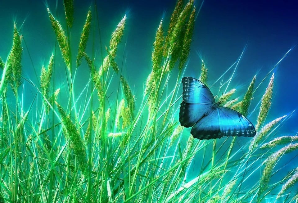 Tháng sinh Âm lịch của những người phụ nữ có sắc đẹp, trí tuệ và phúc khí hội tụ- Ảnh 1.