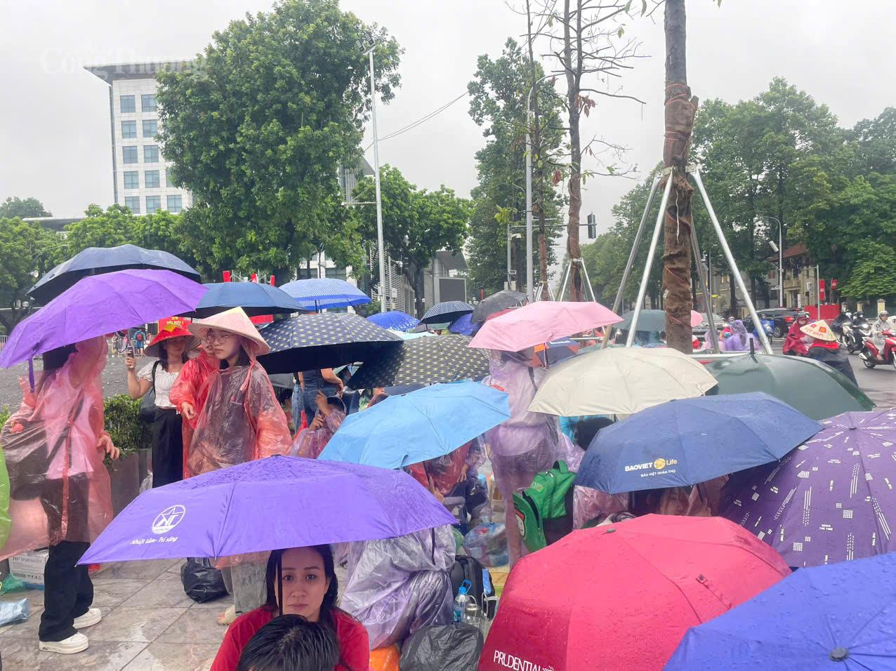 Nhiều người dân xếp hàng, tới từ 4 giờ sáng dựng lều, mang ô, áo mưa chờ xem tổng hợp luyện diễu binh.