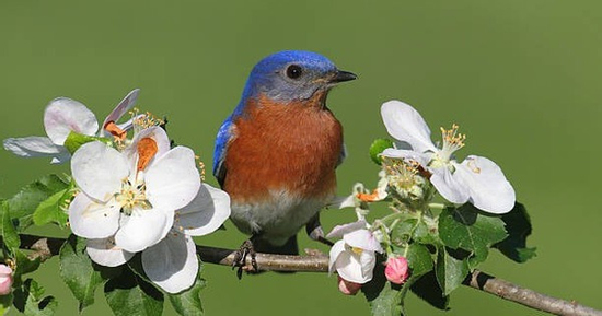 Khung giờ sinh Âm lịch mang mệnh quý: Người hưởng phúc, ít khổ, cuộc sống an nhàn