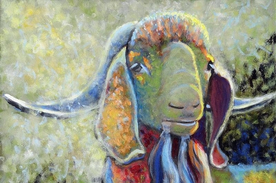 Đúng 20h hôm nay, ngày 28/8/2025, 3 con giáp gặp thời vượng phát, nằm không hứng trọn mưa tài lộc