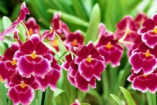 Tiền bạc thi nhau chảy vào túi 3 con giáp từ ngày 28/8 đến ngày 9/9, giàu có bất chấp khiến ai cũng ao ước