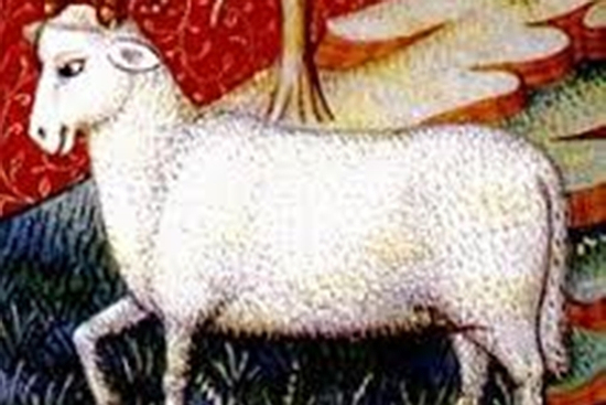 Cung hoàng đạo giàu lòng trắc ẩn, càng giúp người càng gặp nhiều may mắn