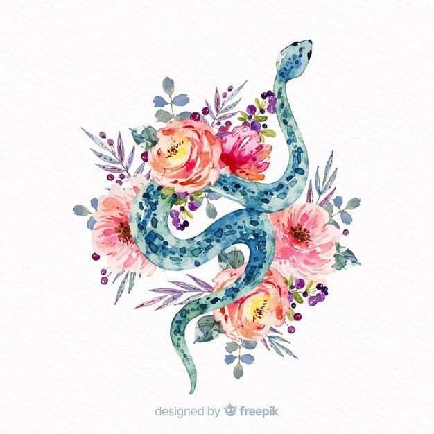 Tử vi 12 con giáp thứ Sáu ngày 2982025