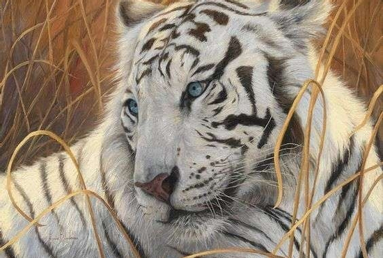 Đúng 6h30 thứ Bảy (30/8/2025), 3 con giáp sau số đỏ như son, chuẩn bị đón điềm lành