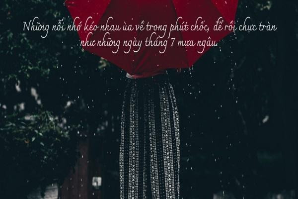 Tuyển tập những stt hay cứ thính là dính trong ngày lễ Thất Tịch 2025