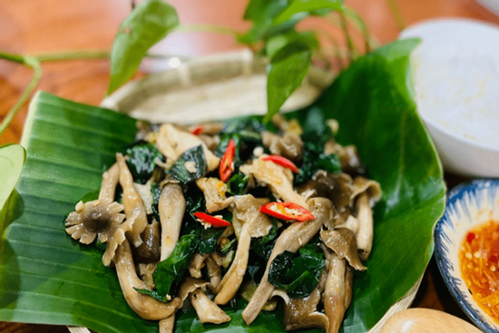 'Báu vật' mọc từ lòng đất giá bạc triệu còn khó mua, ở Việt Nam có nhiều vào mùa mưa: Điều hòa miễn dịch, ngăn ngừa ung thư