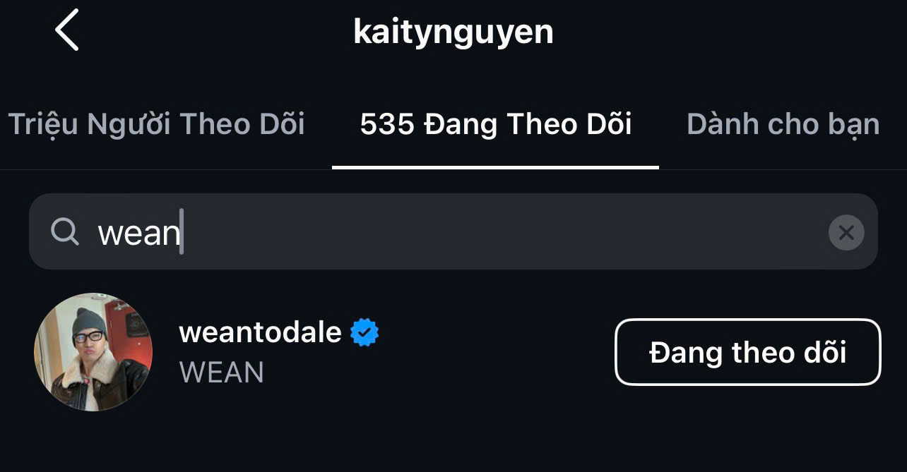 1 Anh trai say hi vướng nghi vấn đang hẹn hò ngọc nữ màn ảnh Việt, bị khui thân mật kè kè ngay trên sóng- Ảnh 4.