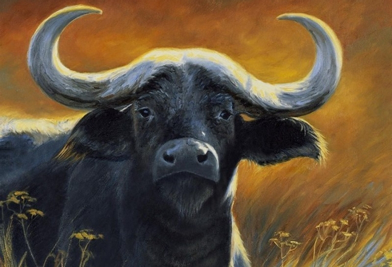 Sau thứ Tư 6/8/2025, 3 con giáp tay phải 'trĩu vàng', tay trái 'hứng bạc' khiến ai nấy đều ghen tị