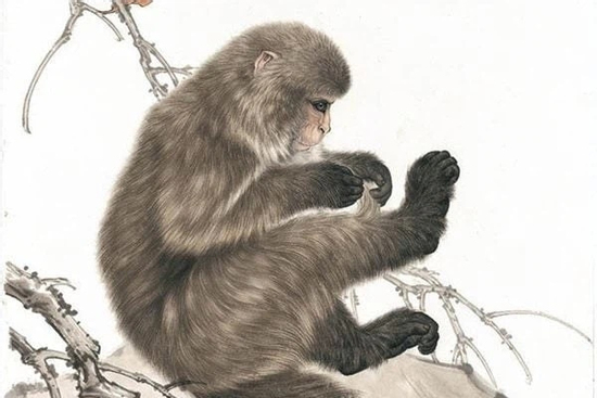 Chúc mừng 3 con giáp trong 10 ngày tới, tiền nhiều như sung rụng, sự nghiệp xuôi thuận