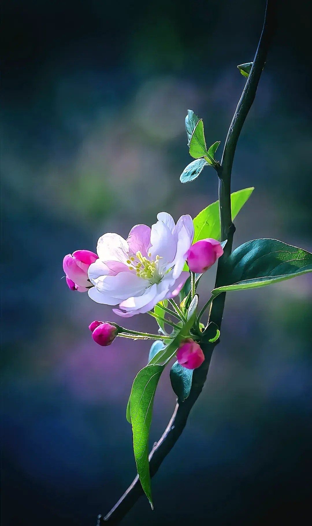 Tháng sinh Âm lịch của người tài hoa, đi đâu cũng được trọng dụng- Ảnh 2.