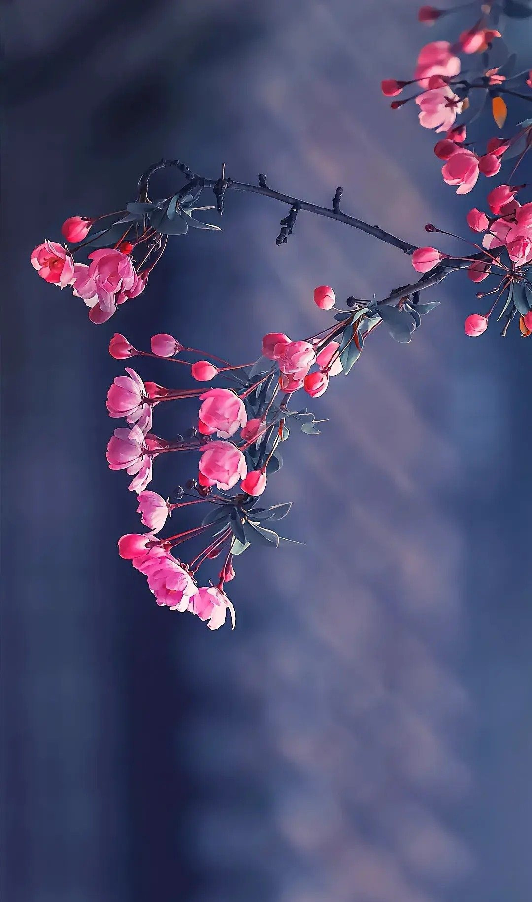 Tháng sinh Âm lịch của người tài hoa, đi đâu cũng được trọng dụng- Ảnh 4.