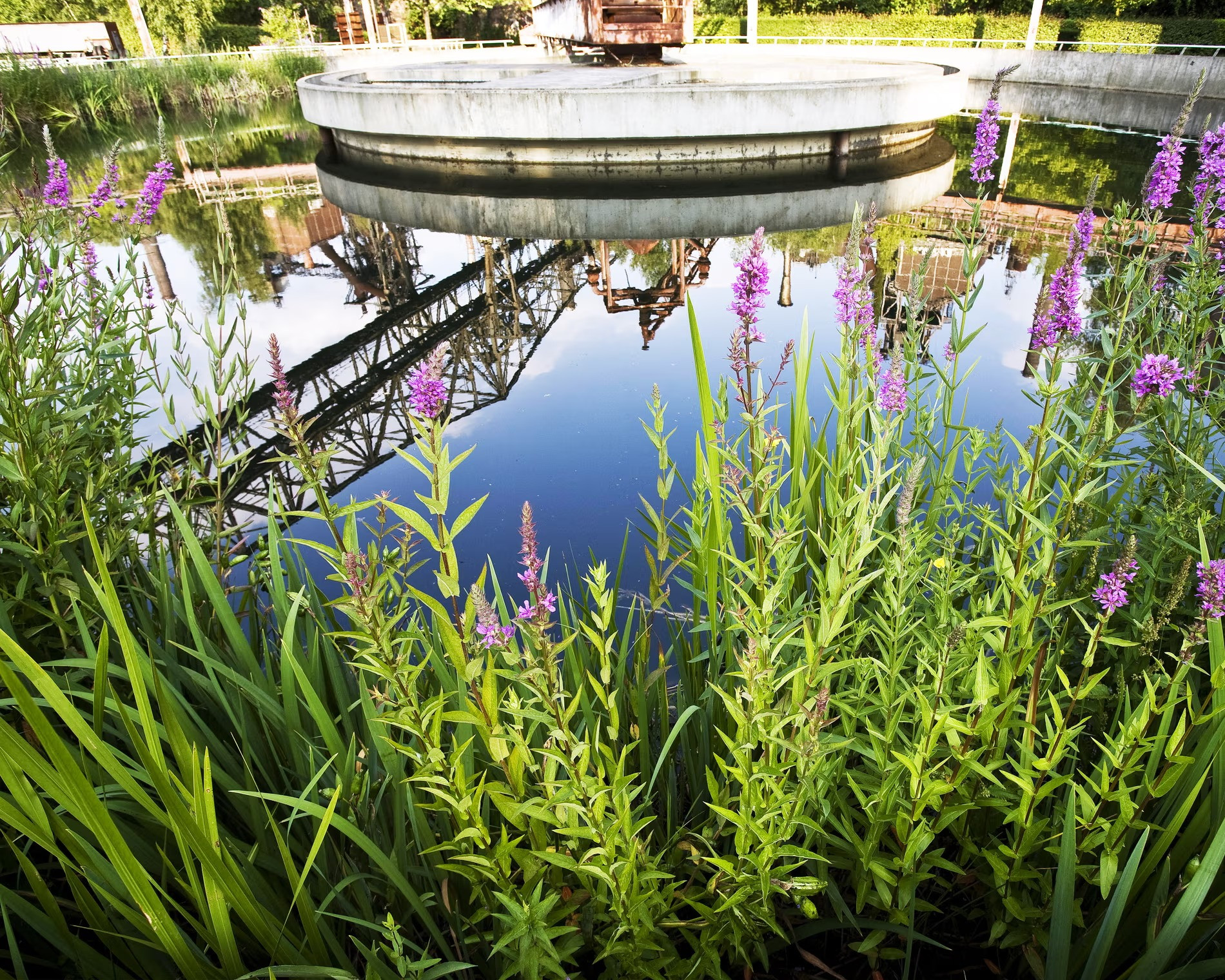 Bí mật lớn nhất dưới lòng con sông từng bị