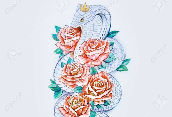 Sau hôm nay, thứ Sáu 8/8/2025, 3 con giáp sẽ hưởng lộc trời ban, sự nghiệp cất cánh, may mắn ngập tràn