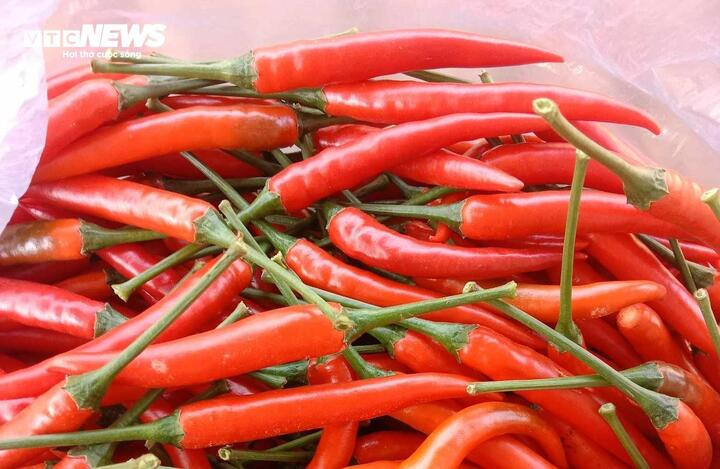 Theo y học cổ truyền, ớt có vị cay, tính nóng, được dùng để tán hàn, kiện tỳ, tiêu thực. (Ảnh: Như Loan)