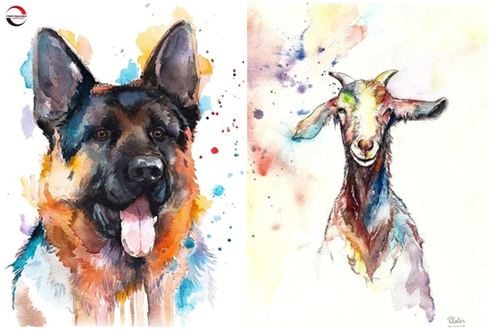 Tử vi 3 con giáp may mắn nhất thứ Tư (3/9): Kiếm tiền không ngừng, giàu lên nhanh chóng