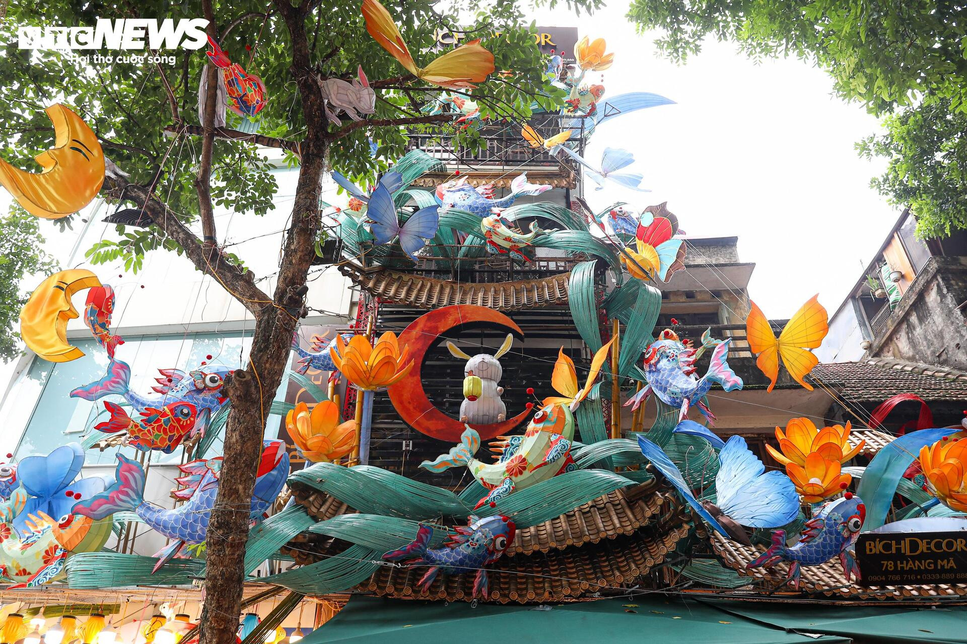 Phố cổ Hà Nội thay 'áo mới', rực rỡ đón trung thu - 3