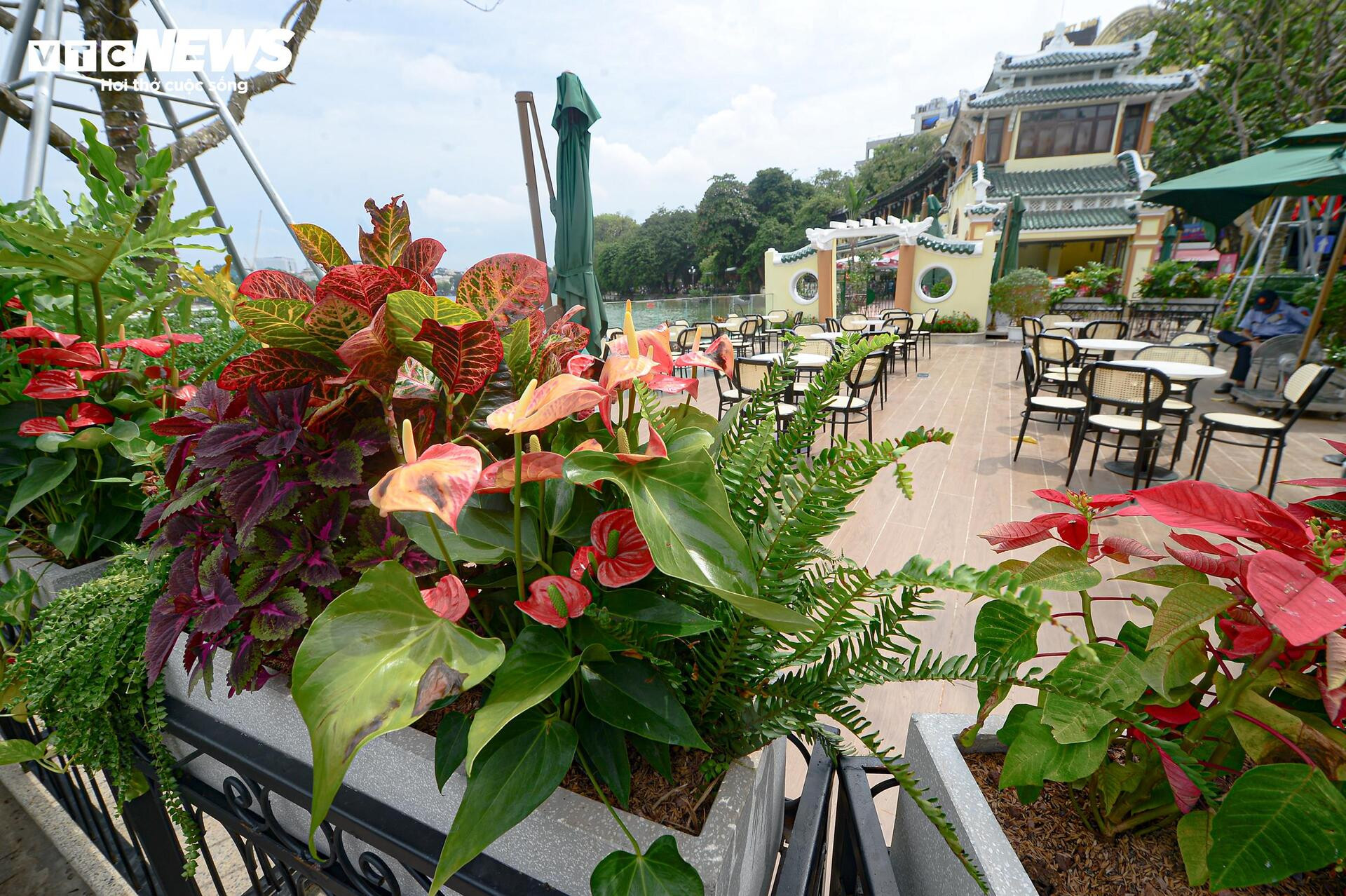 Toàn cảnh không gian Hồ Gươm sau hơn 3 tháng chỉnh trang - 14