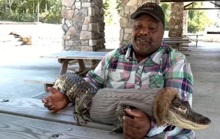 Cá sấu Jinseioshi cùng người chủ bị cấm vào siêu thị.